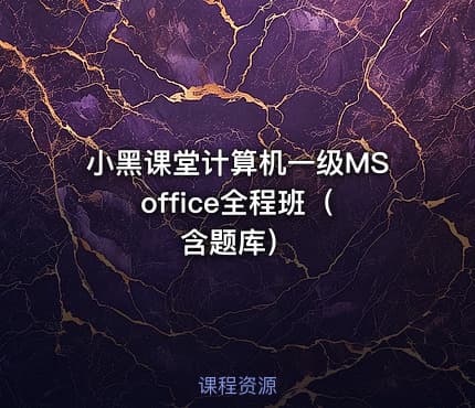 小黑课堂计算机一级MS office全程班（含题库）