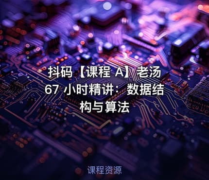 抖码【课程 A】老汤 67 小时精讲：数据结构与算法