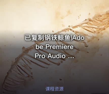 已复制钢铁鲸鱼|Adobe Premiere Pro Audio Previews