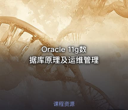 Oracle 11g数据库原理及运维管理