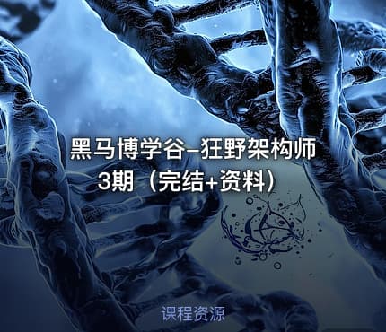 黑马博学谷-狂野架构师3期（完结+资料）