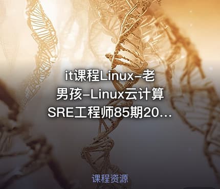 it课程Linux-老男孩-Linux云计算SRE工程师85期2023完结
