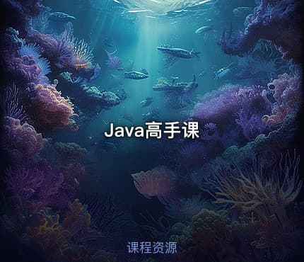 Java高手课