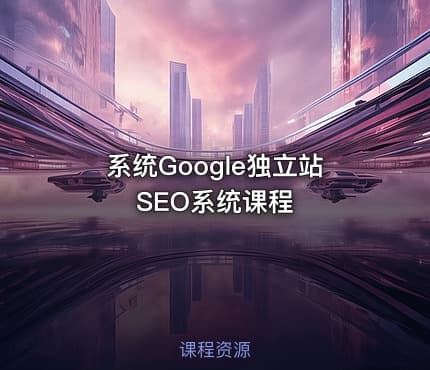 系统Google独立站SEO系统课程