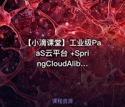 【小滴课堂】工业级PaaS云平台 +SpringCloudAlibaba综合项目实战