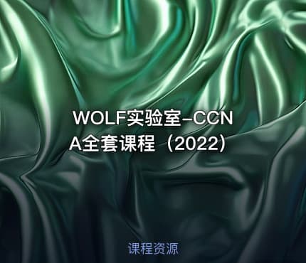 WOLF实验室-CCNA全套课程（2022）