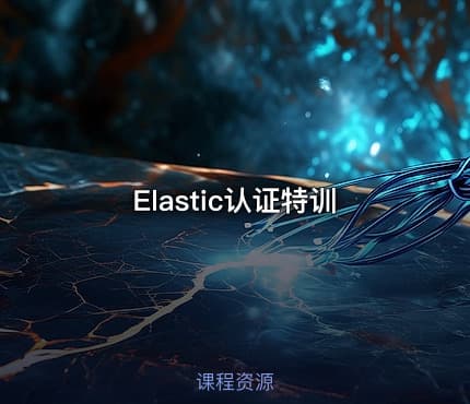 Elastic认证特训