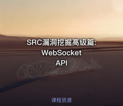 SRC漏洞挖掘高级篇: WebSocket API
