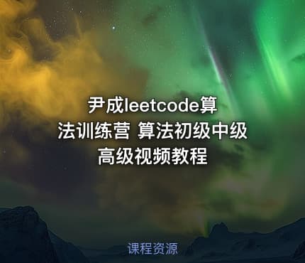 尹成leetcode算法训练营 算法初级中级高级视频教程