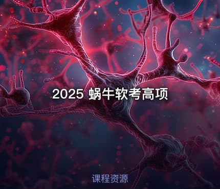 2025 蜗牛软考高项
