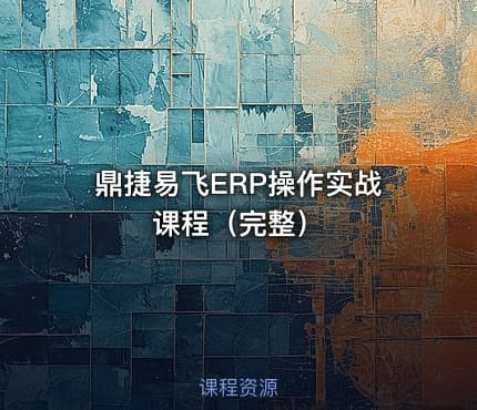 鼎捷易飞ERP操作实战课程（完整）