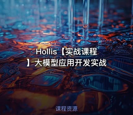 Hollis【实战课程】大模型应用开发实战