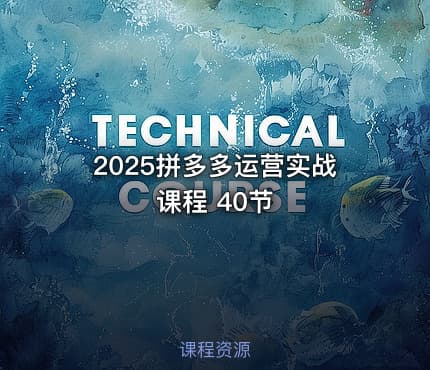 2025拼多多运营实战课程 40节