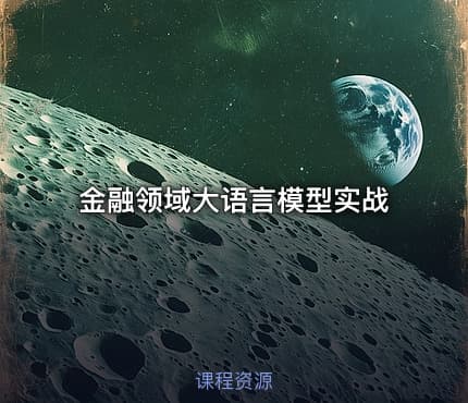 金融领域大语言模型实战