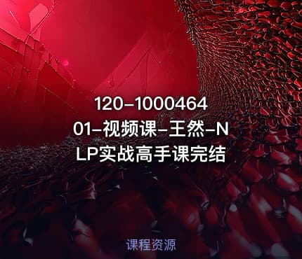 120-100046401-视频课-王然-NLP实战高手课完结