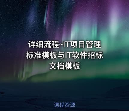 详细流程~IT项目管理标准模板与IT软件招标文档模板