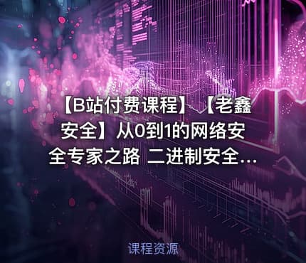 【B站付费课程】【老鑫安全】从0到1的网络安全专家之路 二进制安全和Web安全
