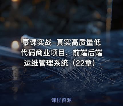 慕课实战-真实高质量低代码商业项目，前端后端运维管理系统（22章）