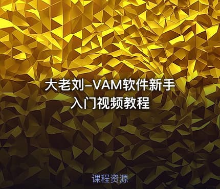 大老刘-VAM软件新手入门视频教程