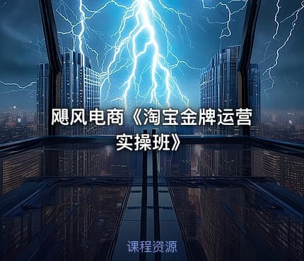 飓风电商《淘宝金牌运营实操班》