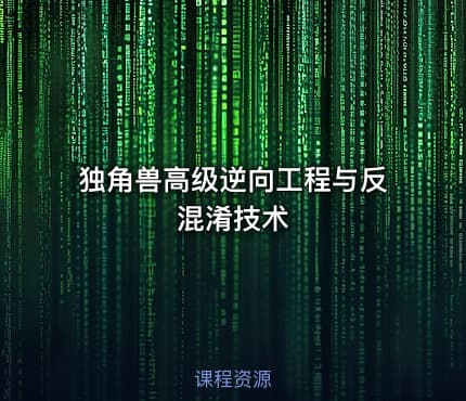 独角兽高级逆向工程与反混淆技术