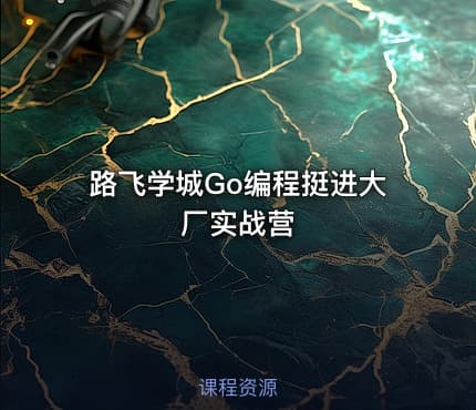 路飞学城Go编程挺进大厂实战营