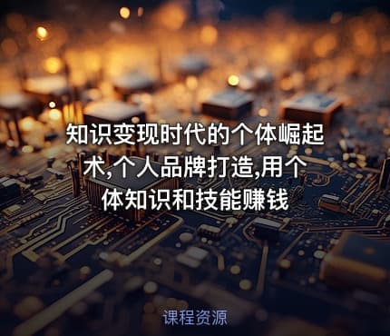 知识变现时代的个体崛起术,个人品牌打造,用个体知识和技能赚钱
