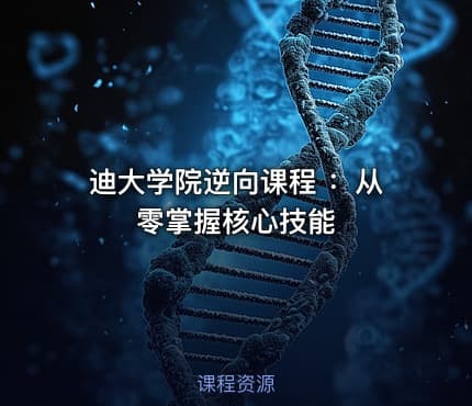 迪大学院逆向课程 ：从零掌握核心技能