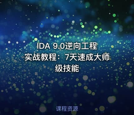 IDA 9.0逆向工程实战教程：7天速成大师级技能