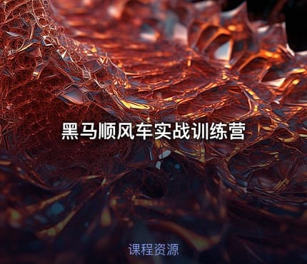 黑马顺风车实战训练营