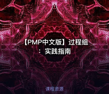 【PMP中文版】过程组：实践指南