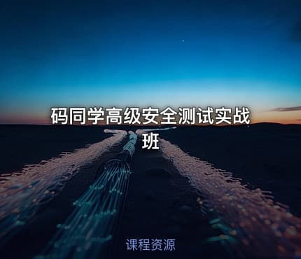 码同学高级安全测试实战班