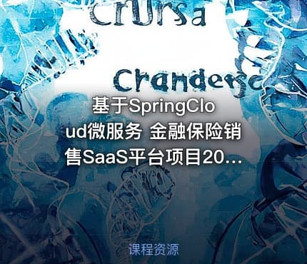 基于SpringCloud微服务 金融保险销售SaaS平台项目2024（资料完整）