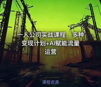 一人公司实战课程，多种变现计划+AI赋能流量运营