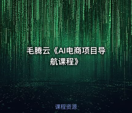 毛腾云《AI电商项目导航课程》
