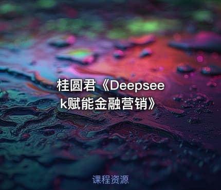 桂圆君《Deepseek赋能金融营销》