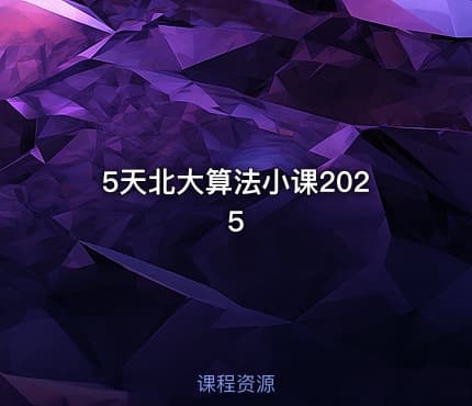 5天北大算法小课2025