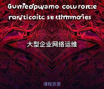 大型企业网络运维