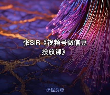 张SIR《视频号微信豆投放课》