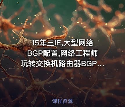 15年三IE,大型网络BGP配置,网络工程师玩转交换机路由器BGP,华为认证HCIP考试认证专题