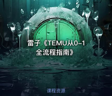 雷子《TEMU从0-1全流程指南》