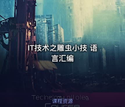 IT技术之雕虫小技 语言汇编