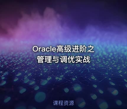 Oracle高级进阶之管理与调优实战