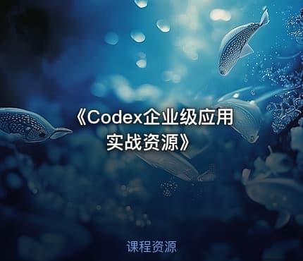 《Codex企业级应用实战资源》