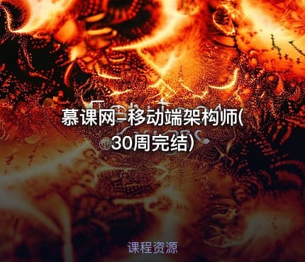 慕课网-移动端架构师(30周完结)