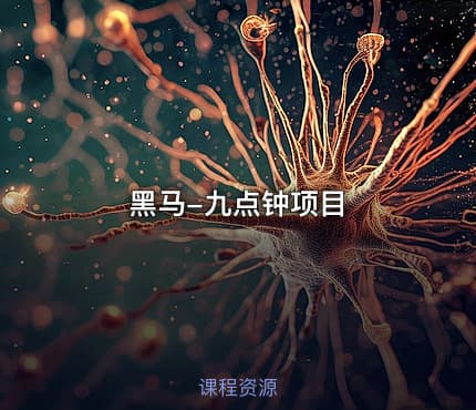 黑马-九点钟项目