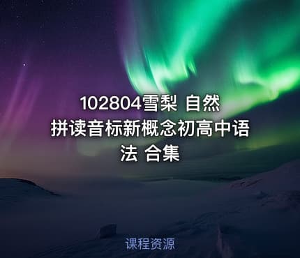 102804雪梨 自然拼读音标新概念初高中语法 合集