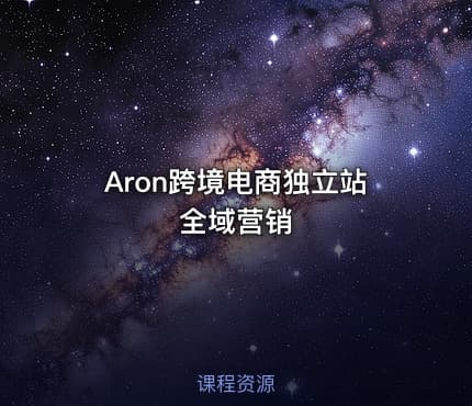 Aron跨境电商独立站全域营销