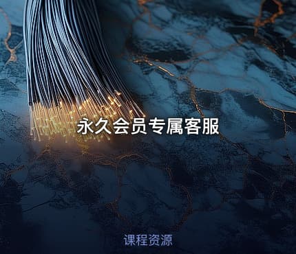 永久会员专属客服