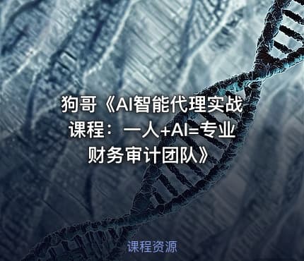 狗哥《AI智能代理实战课程：一人+AI=专业财务审计团队》